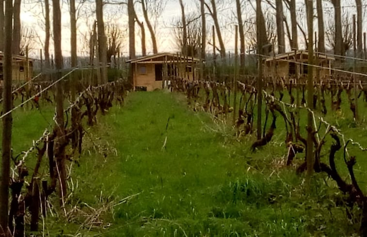 Natuurhuisje in Simonshaven