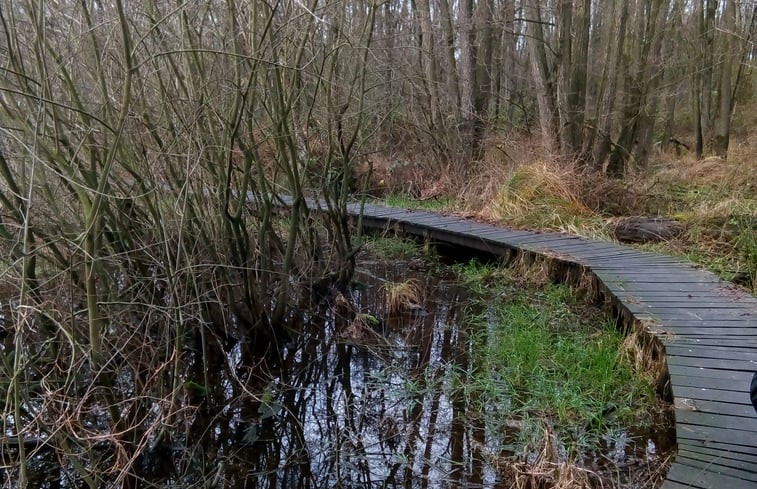 Natuurhuisje in Melderslo