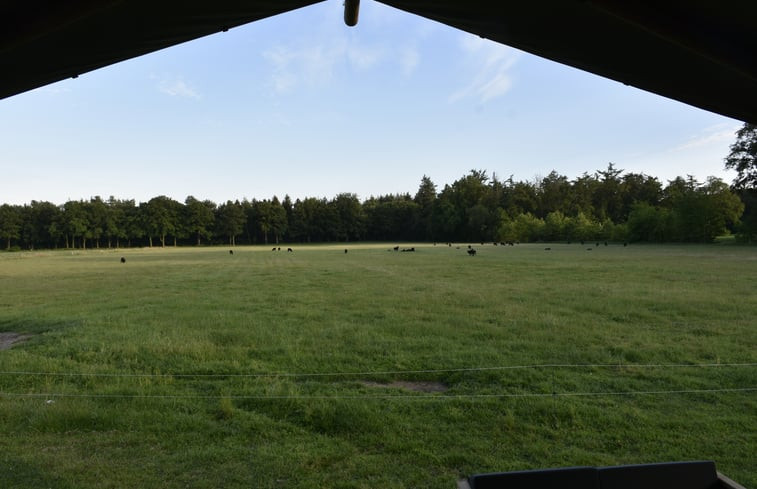 Natuurhuisje in Leersum