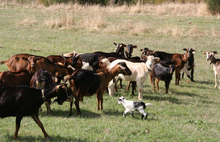 Natuurhuisje in Nabaínhos