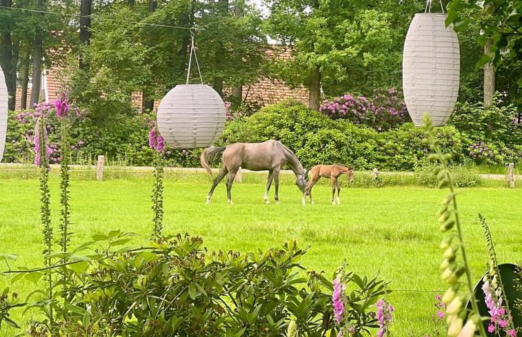 Natuurhuisje in Nutter