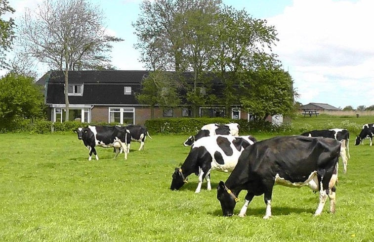 Natuurhuisje in Dirkshorn