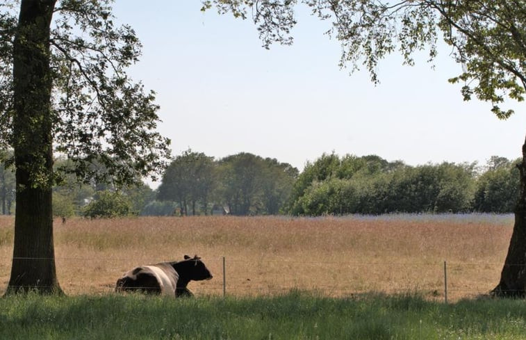 Natuurhuisje in Lattrop