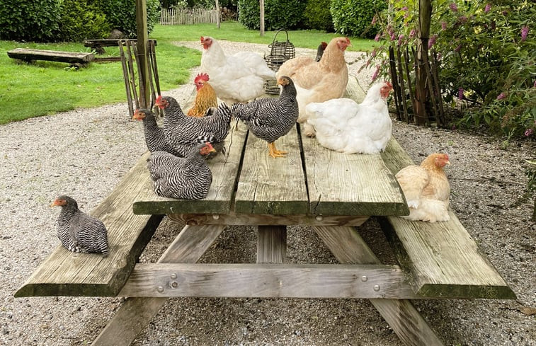 Natuurhuisje in Rutten