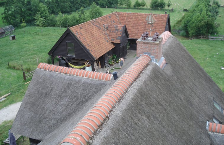 Natuurhuisje in de Bokkebuurt