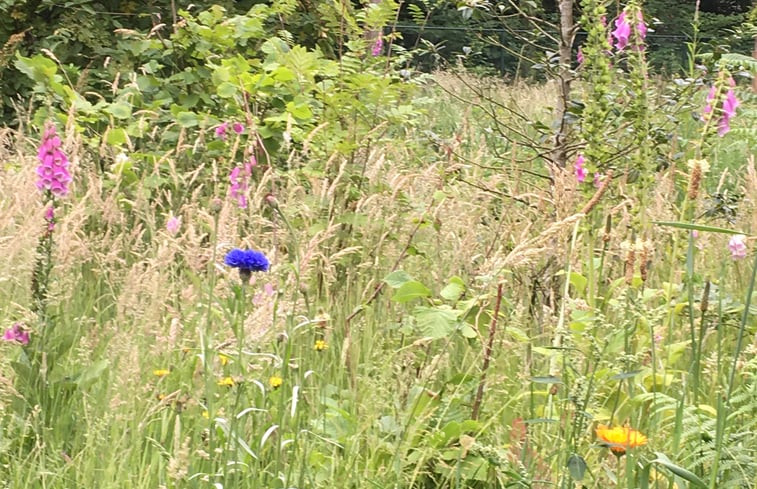 Natuurhuisje in Haaren