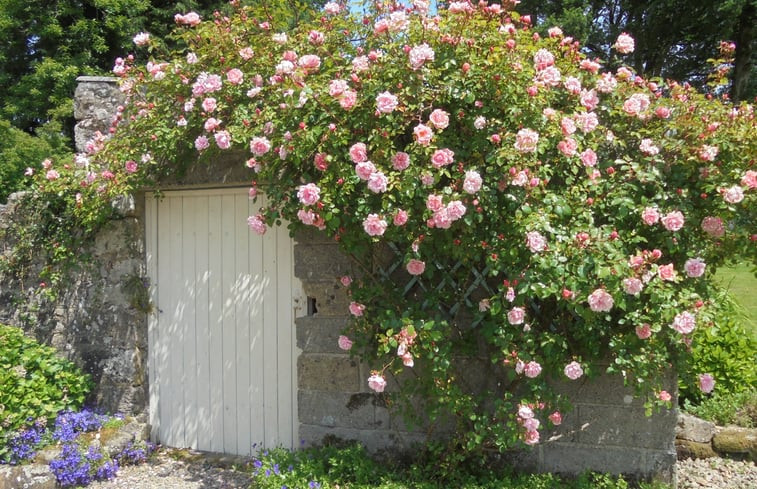 Natuurhuisje in Ploerdut