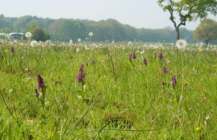 Natuurhuisje in Hezingen