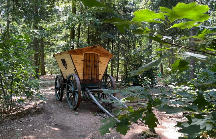 Natuurhuisje in Papenvoort