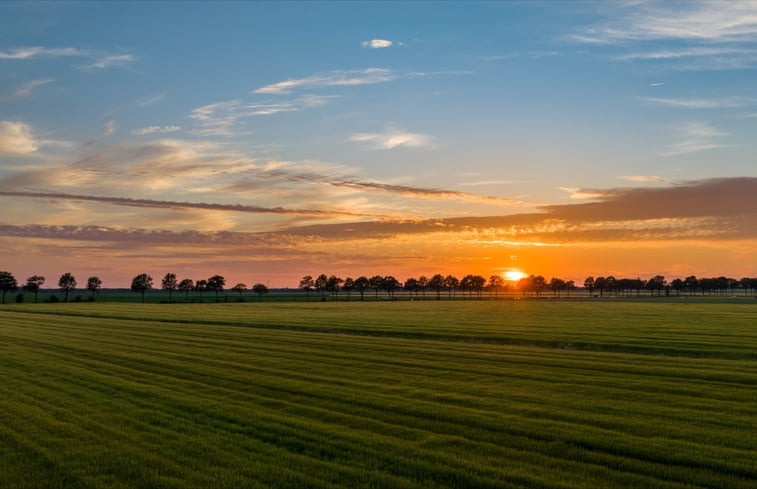 Natuurhuisje in Wedde