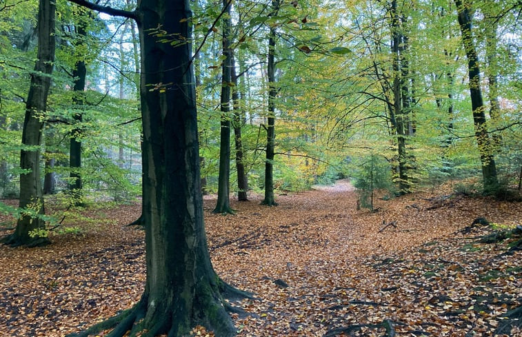 Natuurhuisje in Ansen