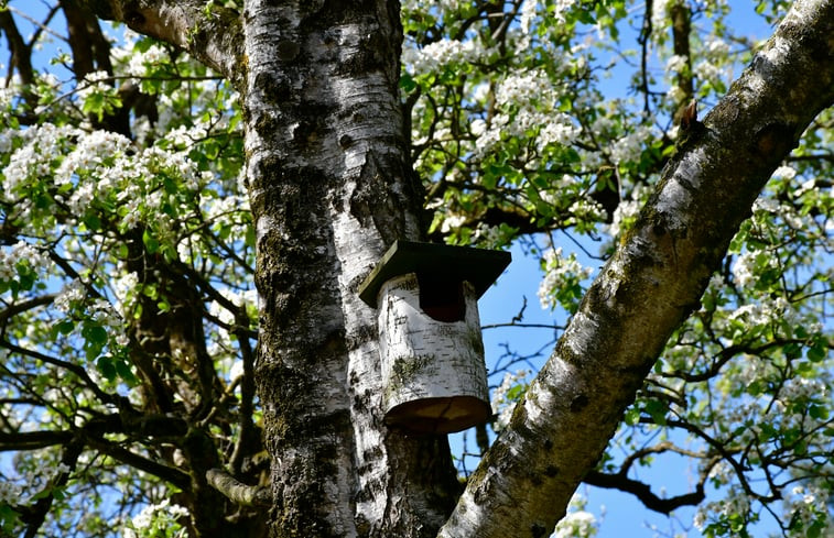 Natuurhuisje in Lennisheuvel (Boxtel)