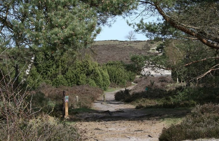 Natuurhuisje in Lemele