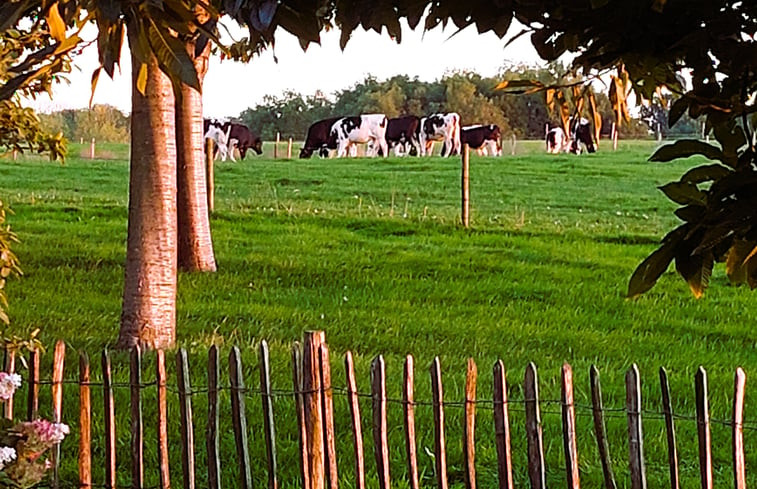 Natuurhuisje in Schin op Geul