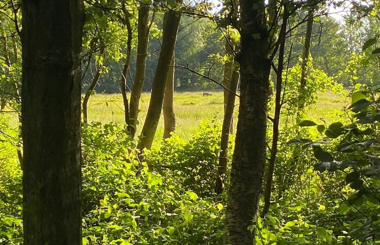 Natuurhuisje in Kollumerzwaag