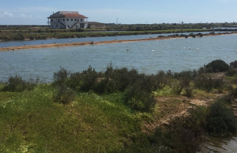 Natuurhuisje in Quatrim do Sul, Moncarapacho