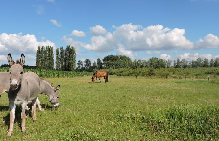 Natuurhuisje in Oudenaarde