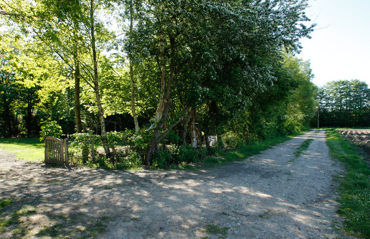 Natuurhuisje in Oosterhesselen