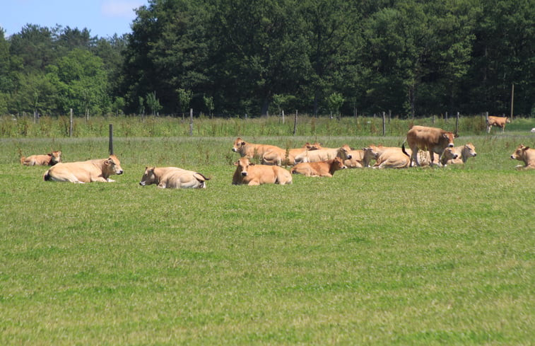 Natuurhuisje in méry-es-bois