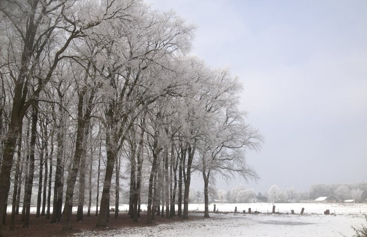 Natuurhuisje in Losser