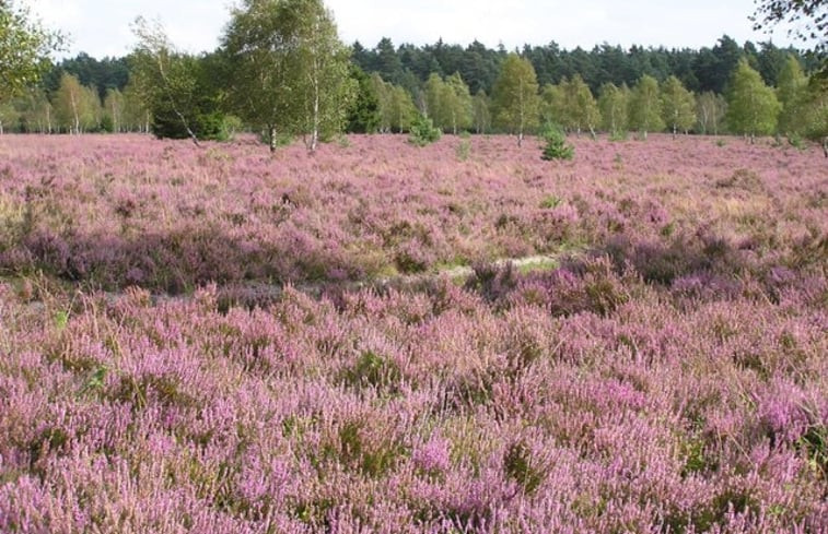 Natuurhuisje in Harfsen