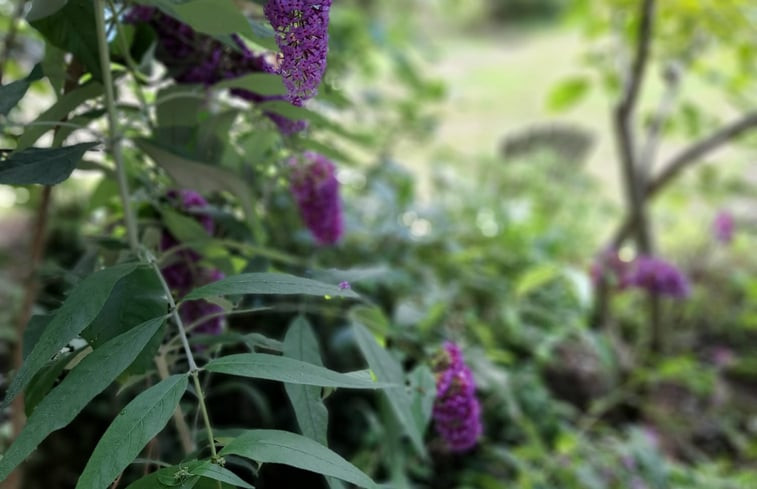 Natuurhuisje in Eefde