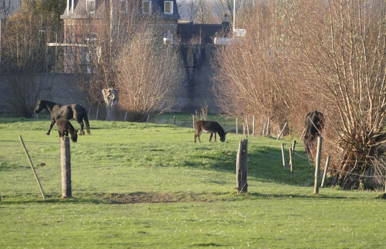 Natuurhuisje in Mesch-Eisden