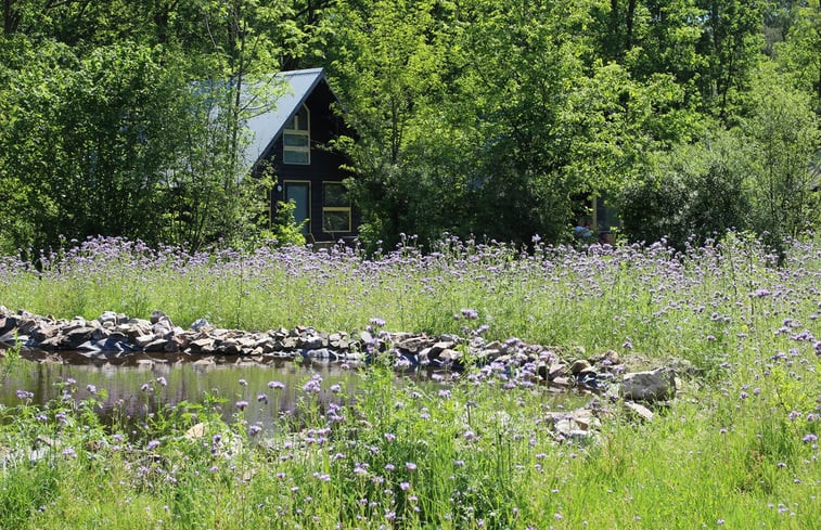 Natuurhuisje in Bergeijk