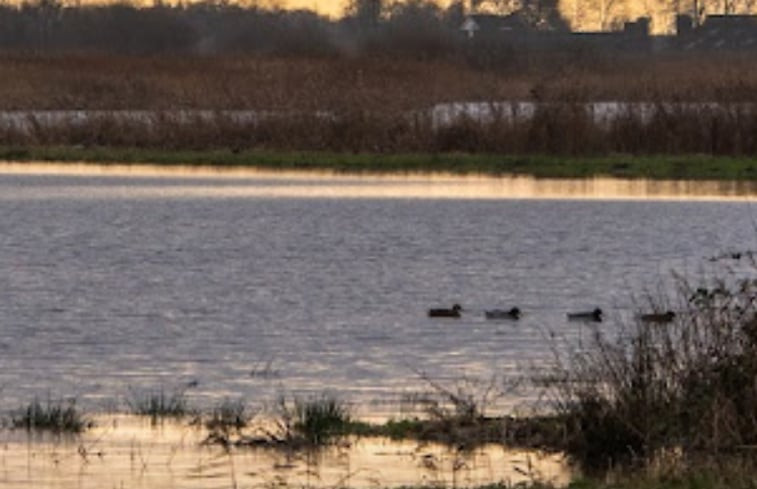 Natuurhuisje in Nes/. (Akkrum)