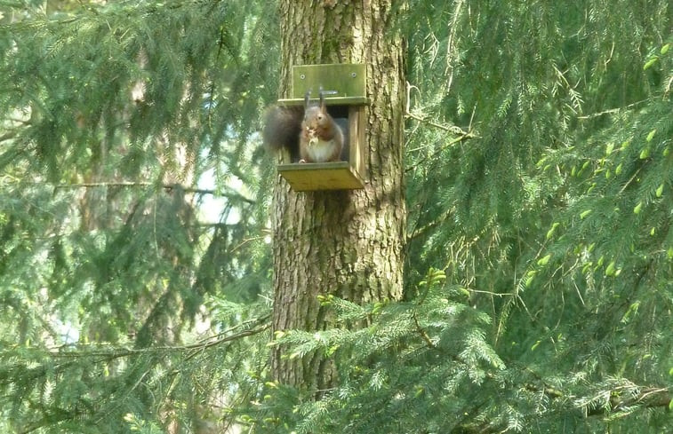 Natuurhuisje in Bennekom