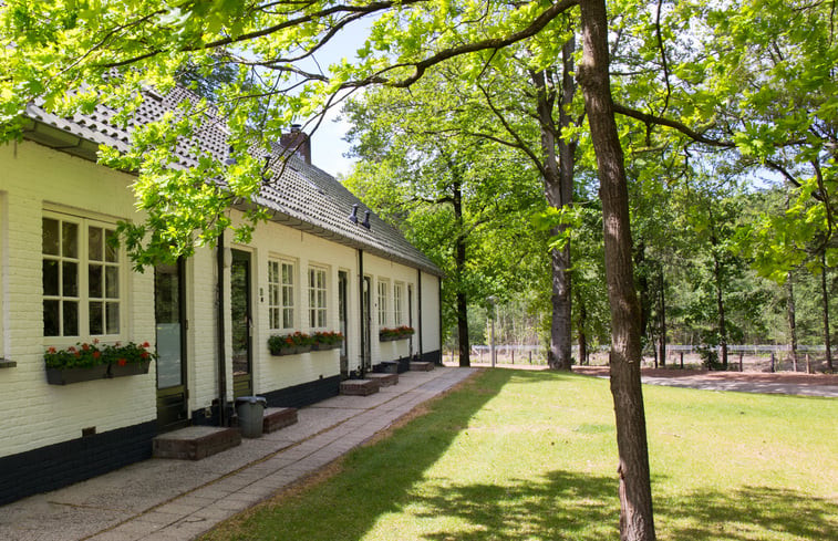 Natuurhuisje in Elspeet