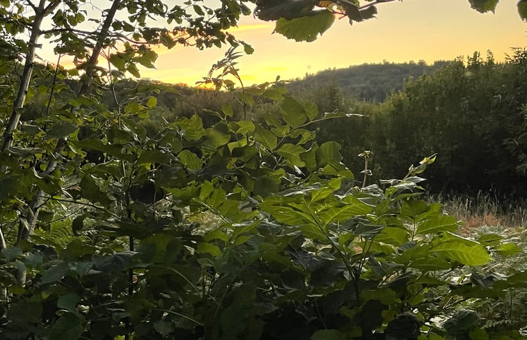 Natuurhuisje in St yrieix les bois