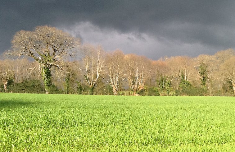 Natuurhuisje in Les Jincheres