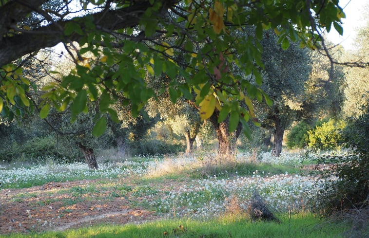 Natuurhuisje in Horta de Sant Joan