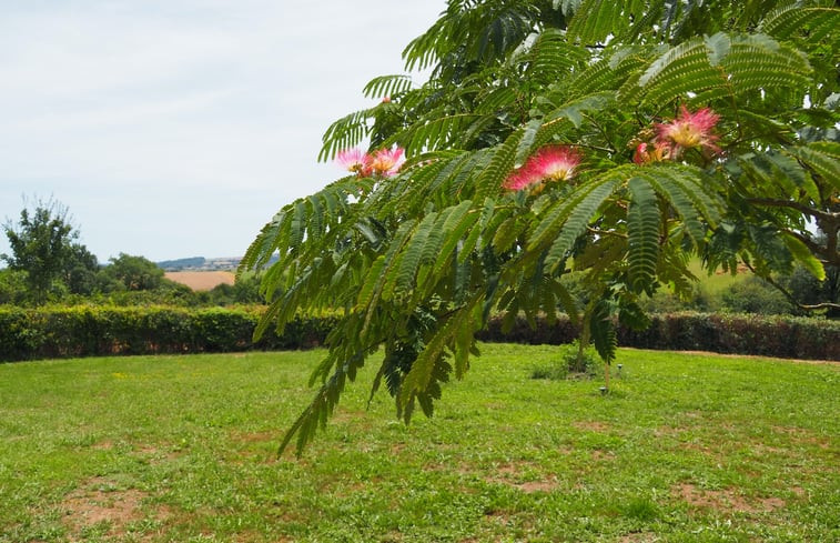 Natuurhuisje in La Salvetat Peyralès