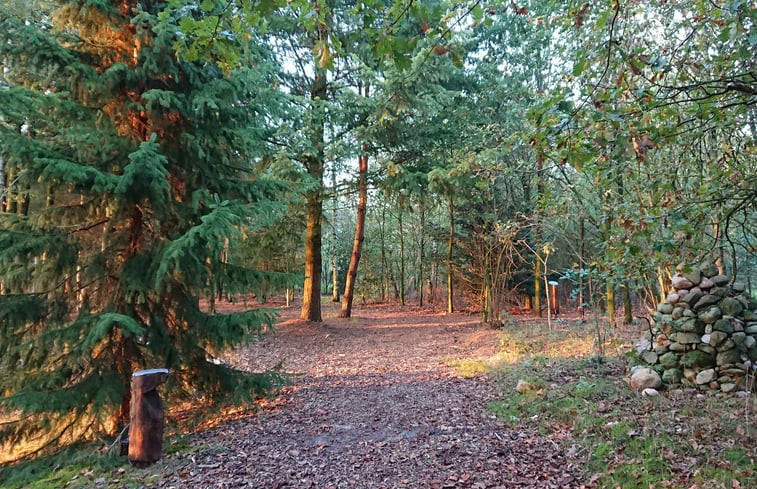 Natuurhuisje in Odoornerveen