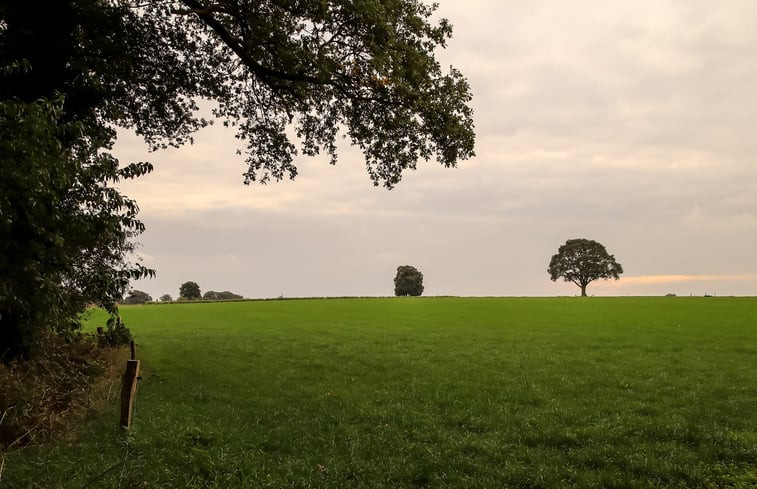 Natuurhuisje in Ambt Delden