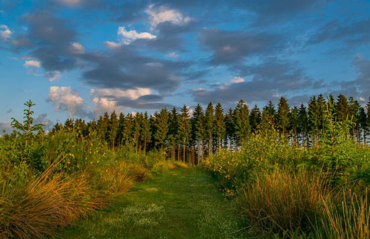 Natuurhuisje in Grandmenil