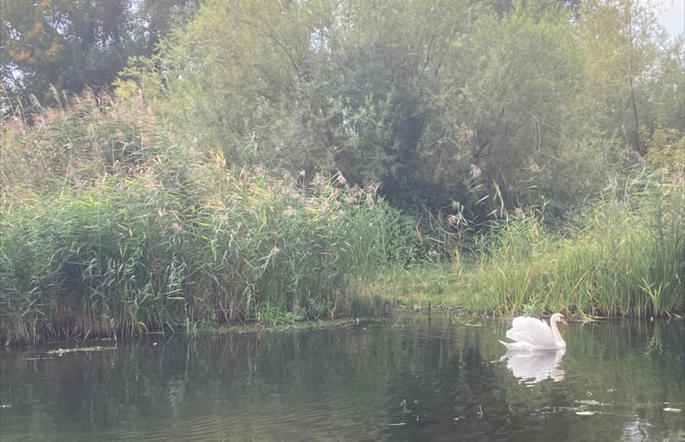 Natuurhuisje in Brandenburg an der Havel