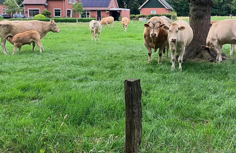 Natuurhuisje in Rossum