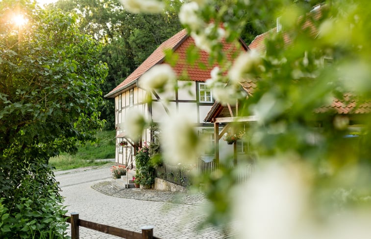 Natuurhuisje in Treffurt