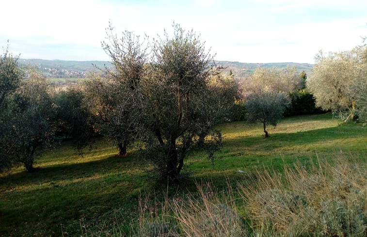 Natuurhuisje in Corinaldo