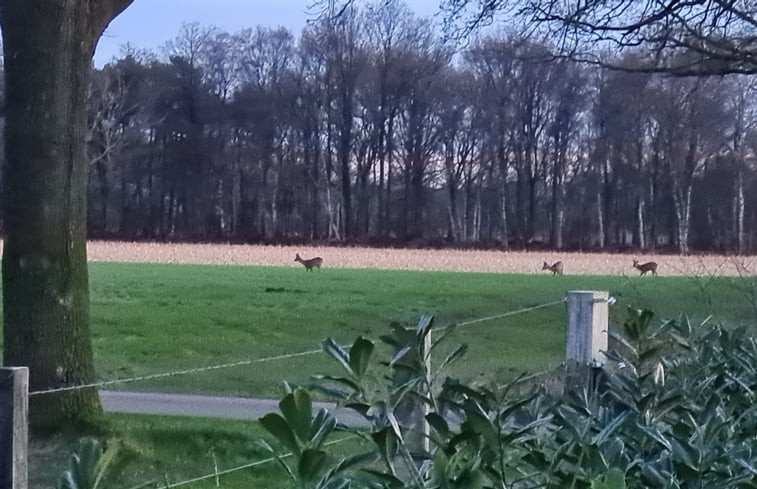 Natuurhuisje in Rietmolen