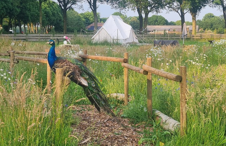 Natuurhuisje in Erp