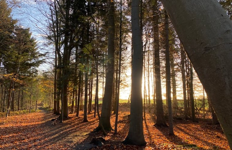 Natuurhuisje in Schwedeneck