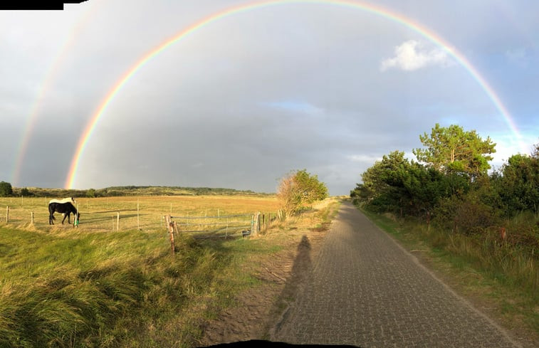 Natuurhuisje in Buren Ameland