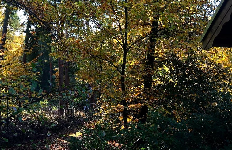 Natuurhuisje in Bennekom