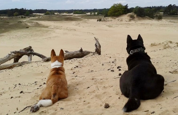 Natuurhuisje in Hoog Soeren