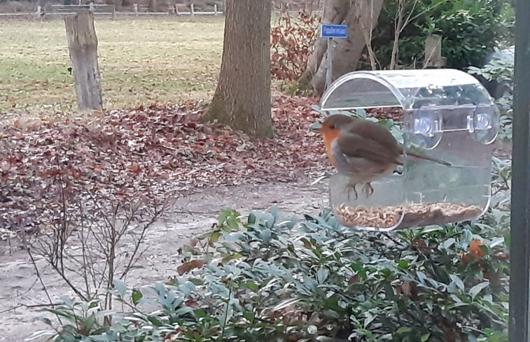 Natuurhuisje in Nutter