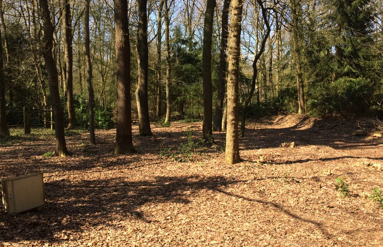 Natuurhuisje in Boijl